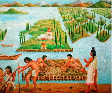 chinampas