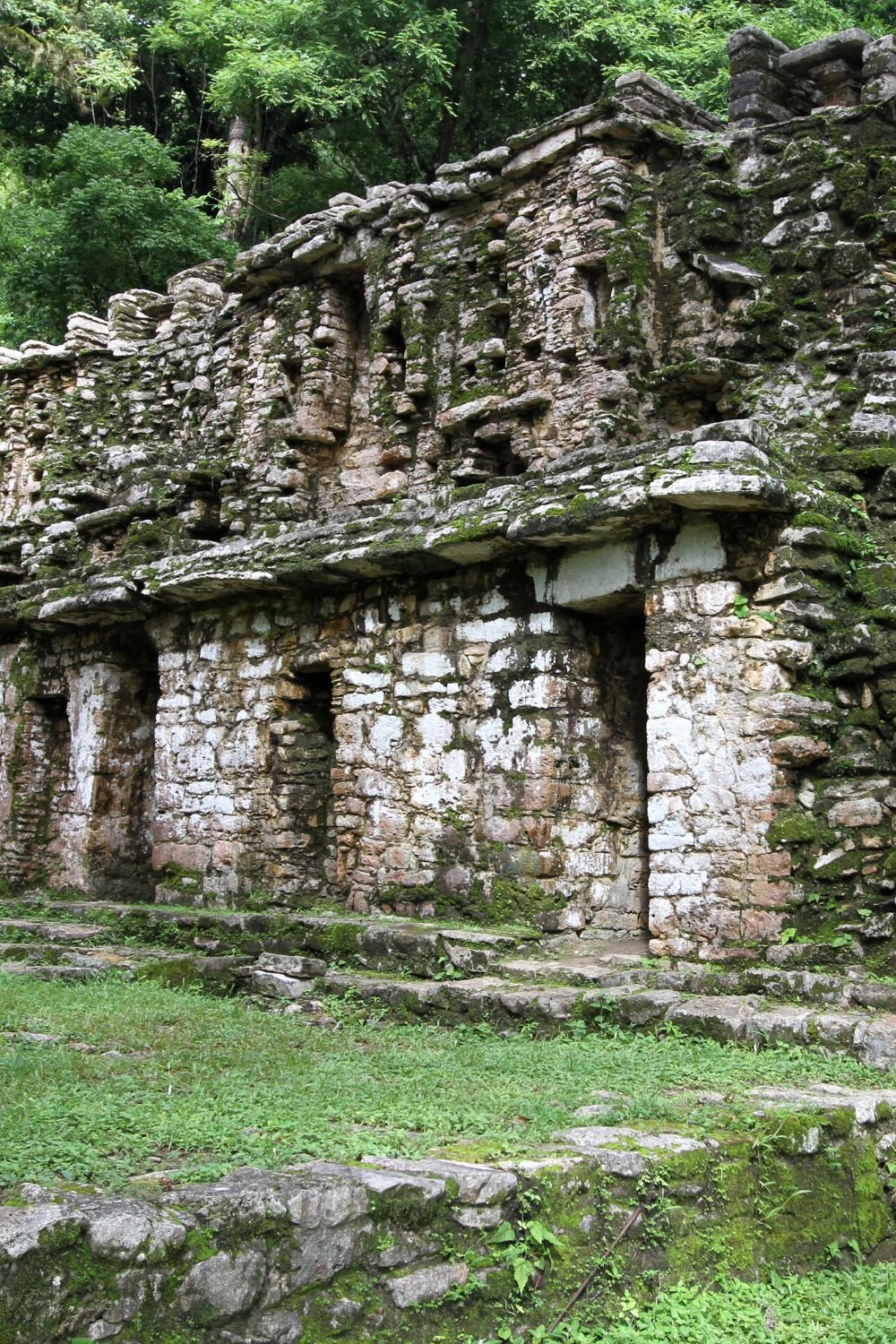 Yaxchilán: La Joya Oculta de la Civilización Maya en la Selva Lacandona ...